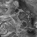 Skeletons And Ghosts by Diane Parnell