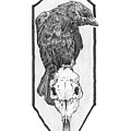 Skull and Crow Drawing by Tiffany DiGiacomo Skull and Crow Drawing by Tiffany DiGiacomo