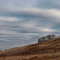 Sky And Grassland Photograph by Karen Rispin Sky And Grassland Photograph by Karen Rispin