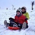 Sled Fun by Wade Hampton