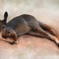 Sleeping Kangaroo Mixed Media by Lucie Dumas Sleeping Kangaroo Mixed Media by Lucie Dumas