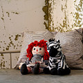 Small Comforts Photograph by Richard Reeve Small Comforts Photograph by Richard Reeve