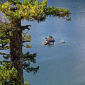 Small Island on Diablo Lake by Michael Russell