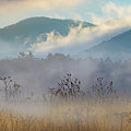 Smoky Mountains Fog Parfait by Theresa D Williams Smoky Mountains