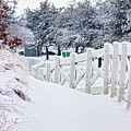 Snow Blanket by Kelley King