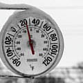 Snow Covered Thermometer Photograph by Cathy Kovarik Snow Covered Thermometer Photograph by Cathy Kovarik