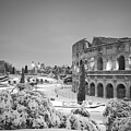 Snow covers the ancient Roman Colosseum by Stefano Senise