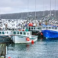 Snow harbour  by David Matthews
