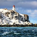 Snow light  by David Matthews