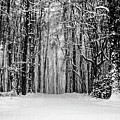 Snow Storm Photograph by Louis Dallara Snow Storm Photograph by Louis Dallara