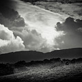 Snowdonia by Dorit Fuhg