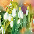 Snowdrops - Magical Lanterns Painting by Espero Art Snowdrops - Magical Lanterns Painting by Espero Art