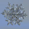 Snowflake 2014-12-26_0136-48 by Alexey Kljatov