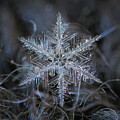 Snowflake 2023-01-08_6112-24 by Alexey Kljatov