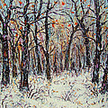 Snowing In The Forest by Natalie Holland Snowing In The Forest by Natalie Holland