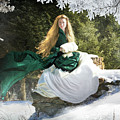 Snows Silent Call by Fran J Scott