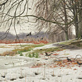 Snowy Landscape, 1904 by Peder Monsted by Peder Monsted