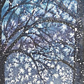 Snowy Night Trees by Lisa Neuman