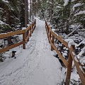Snowy pathway Photograph by Erin Mitchell Snowy pathway Photograph by Erin Mitchell