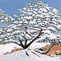 Snowy Pine by Kenneth M Kirsch
