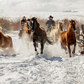 Snowy Ranch Horse Run Photograph by Dawn Key Snowy Ranch Horse Run Photograph by Dawn Key