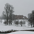 Snowy scene Photograph by Andrew Lalchan Snowy scene Photograph by Andrew Lalchan