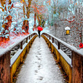Snowy Walk Photograph by Debra and Dave Vanderlaan Snowy Walk Photograph by Debra and Dave Vanderlaan