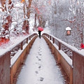 Snowy Walk Painting Photograph by Debra and Dave Vanderlaan Snowy Walk Painting Photograph by Debra and Dave Vanderlaan