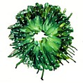 Snowy Wreath Painting by Angela Marinari Snowy Wreath Painting by Angela Marinari
