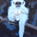 Snub Nose Golden Monkey-Monkey Business Painting by Bill Manson Snub Nose Golden Monkey-Monkey Business Painting by Bill Manson