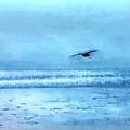 Soaring Freely Painting by Carmen Lam Soaring Freely Painting by Carmen Lam