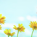 Soft and Light 23 by Becqi Sherman