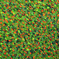 Soft Green with Cadmium Red Painting by Dean Triolo Soft Green with Cadmium Red Painting by Dean Triolo