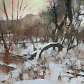 Soft Snow at Lake Nokomis by Glenn Galen