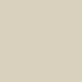 Solid Tan Color Digital Art by Delynn Addams Solid Tan Color Digital Art by Delynn Addams