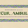 Solvitur Ambulando Painting by Judy Dodds Solvitur Ambulando Painting by Judy Dodds