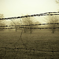 Somber Pasture Photograph by Lens Art Photography By Larry Trager Somber Pasture Photograph by Lens Art Photography By Larry Trager