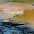 Some Ocmulgee River Flows by Ed Williams