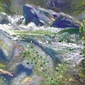 Song of Spring by Sandra Lee Scott