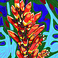Sonoran Desert Bloom by Rod Whyte