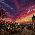 Sonoran Sunset Digital Art by Lois Bryan Sonoran Sunset Digital Art by Lois Bryan
