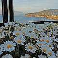 Sorrento - View with Flowers Photograph by Yvonne Jasinski Sorrento - View with Flowers Photograph by Yvonne Jasinski