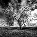 South Monochrome Photograph by Darcy Dietrich South Monochrome Photograph by Darcy Dietrich
