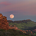 South Valley Park Flower Moon by Darren White