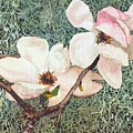 Southern Dogwood Painting by Merana Cadorette Southern Dogwood Painting by Merana Cadorette