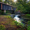 Southern Gem II Photograph by DB Hayes Southern Gem II Photograph by DB Hayes