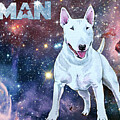 Space Bull Terrier by Jindra Noewi