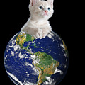 Space Kitten Ruler of Earth Funny Digital Art by Flippin Sweet Gear Space Kitten Ruler of Earth Funny Digital Art by Flippin Sweet Gear