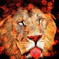 Sparkly Majestic Lion Photograph by Michelle Liebenberg Sparkly Majestic Lion Photograph by Michelle Liebenberg