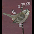 Sparrow Painting by Tim Nyberg Sparrow Painting by Tim Nyberg